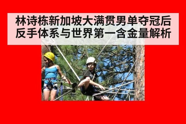 林诗栋新加坡大满贯男单夺冠后反手体系与世界第一含金量解析（kaiyun）